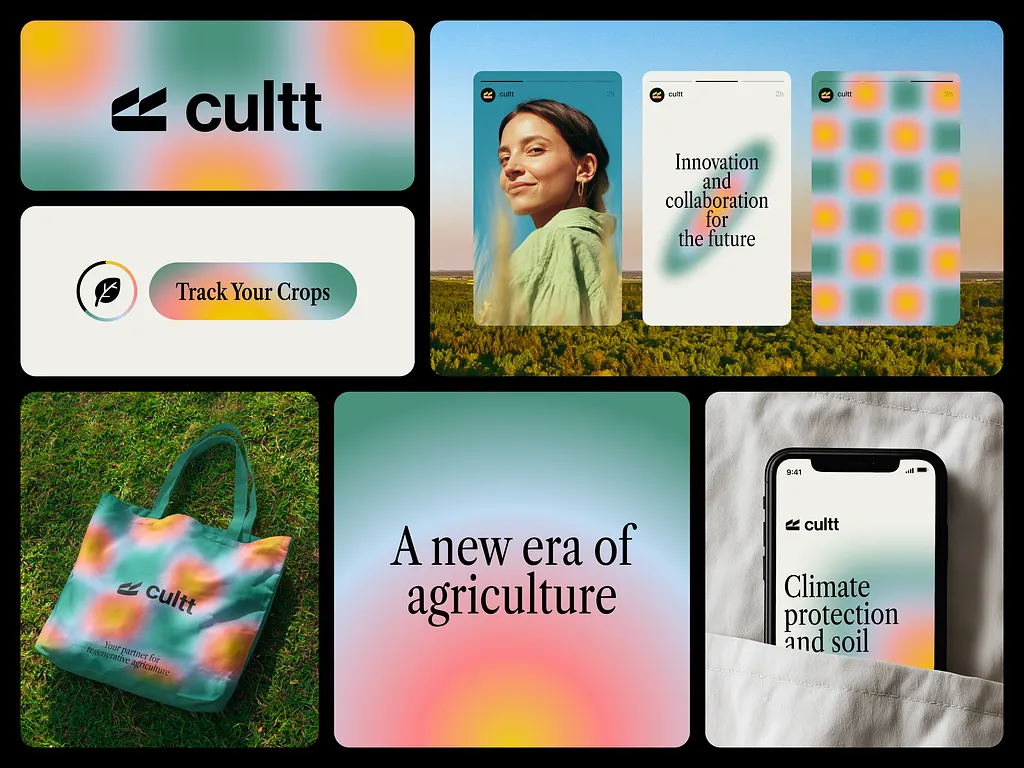 Branding example: Logo, colors, typography